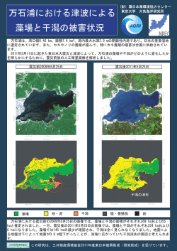 万石浦は、湾口幅0.46 km、面積7.4 km2、湾内最大水深3.9 mの閉鎖性