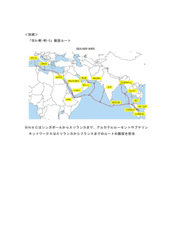 ＜別紙＞ 「SEA-ME-WE-5」敷設ルート ※NECはシンガポールから