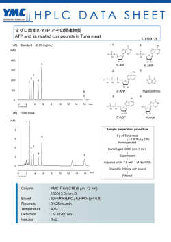 マグロ肉中の ATP とその関連物質 ATP and its related compounds in