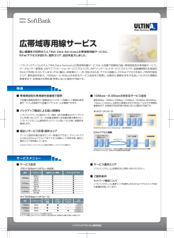 広帯域専用線サービス(PDF：313KB)