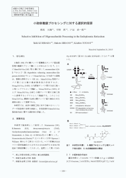 Page 1 Page 2 成 蹊 大 学王里 エ 学研 究 報 告 2
