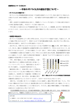 ～今年の RS ウイルスの遺伝子型について～