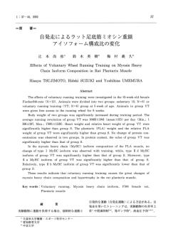 自発走によるラット足底筋ミオシン重鎖 アイソフォーム構成