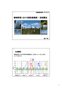 プレンゼンテーション資料