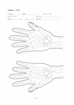 共通書式12 手の図