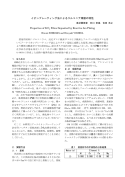 全文ダウンロード（PDF：198KB）