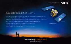 NEC_元旦_電波新聞7d4c.eps