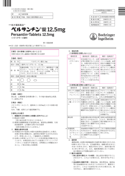 PDFファイル