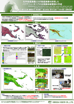 光学衛星画像とSAR衛星画像を併用した パプアニューギニアの全国森林