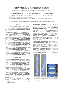 脊柱力学模型による特発性側彎症の成因解明