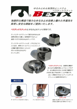 （ベステックスナット）－（HDZ，SGめっき）