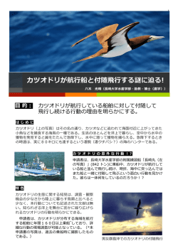 プランの全文はこちらからPDFを覧ください
