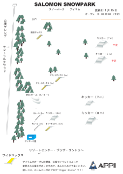 SALOMON SNOWPARK