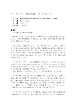 フルーツセーフティ 輸入果物図鑑 【ネーブルオレンジ】 【学 名】 Citrus