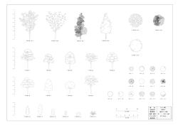 参照資料 ファイル名 用紙・縮尺 構造図名 種 別 作成