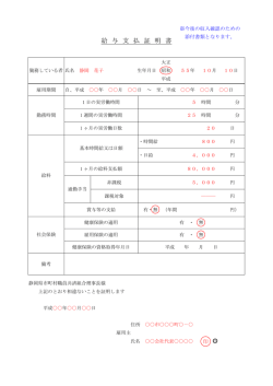記入見本（PDF） - 静岡県市町村職員共済組合