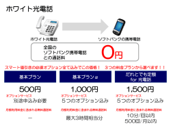 ホワイト光電話の概要