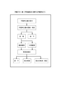 不服申立書の受付 不服申立書の調査・補正 受 理 却 下 書面審理 口頭