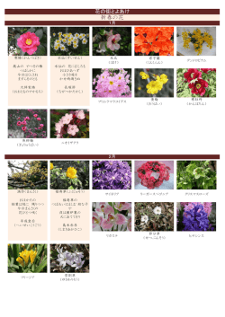 季節の花 - 豊明市商工会
