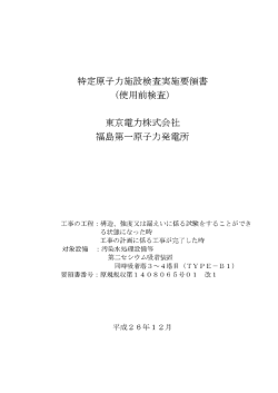 特定原子力施設検査実施要領書 (使用前検査)