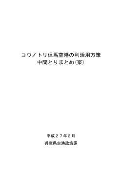コウノトリ但馬空港の利活用方策「中間とりまとめ（案）」（PDF