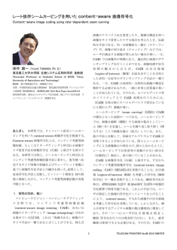 1．レート依存シームカービングを用いたcontent