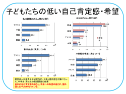 子どもたちの低い自己肯定感・希望（PDF：172KB）