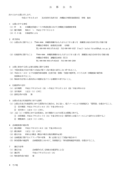 広域観光周遊ルート形成促進に向けた沖縄地方基礎調査事業