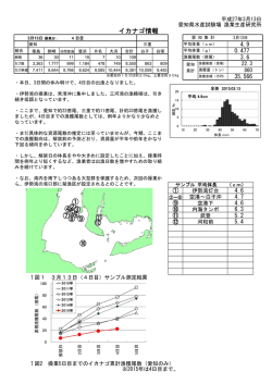 3月13日イカナゴ情報 (ファイル名:150313ikanagoinf