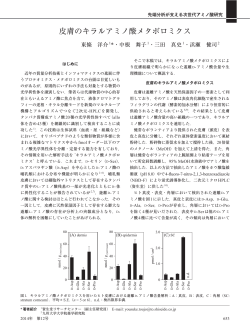 皮膚のキラルアミノ酸メタボロミクス;pdf