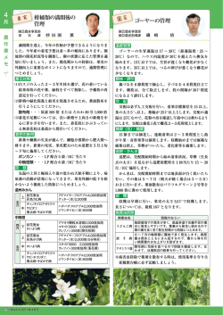 柑橘類の満開後の管理;pdf