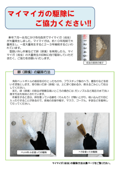 マイマイガの駆除方法など