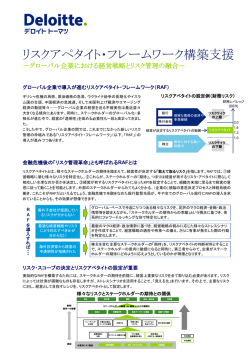 リスクアペタイト・フレームワーク構築支援に関する資料