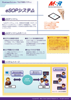 eS。Pシステム