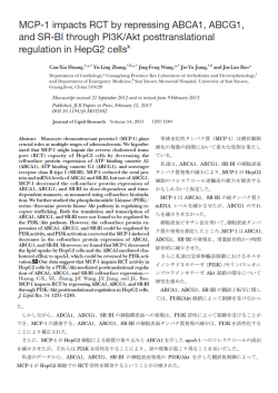 単球走化性タンパク質（MCP-1）は粥状動脈 硬化の複数の段階において
