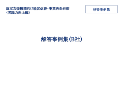 解答事例集（B社）(PDF形式)