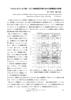 PdBiSeのフェルミ面：スピン軌道相互作用における質量補正の効果