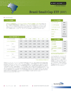 ファンドの概要 ブラジル小型株ETFは、マーケット・べクトル・ブラジル小型