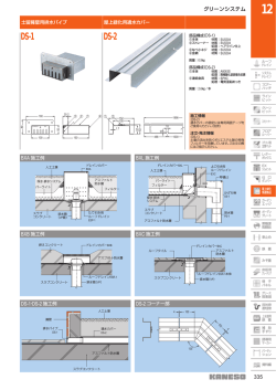 DS-1 DS-2
