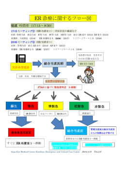 ER 診療に関するフロー図