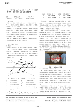 レンズ形状を有するせん断パネルダンパーの開発（その4）