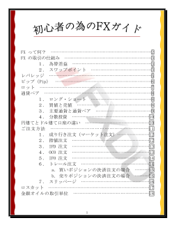FX初心者ガイド (PDF)