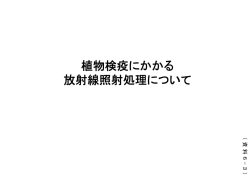 植物検疫にかかる放射線照射処理について（PDF：106KB）