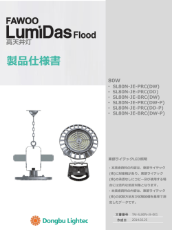 LumiDas Flood80W 製品仕様書
