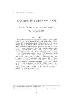 論文PDFファイル (10656KB) はここをクリックしてください