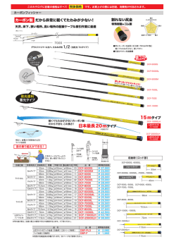 日本最長20mタイプ