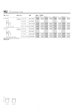 NN-1（WON）