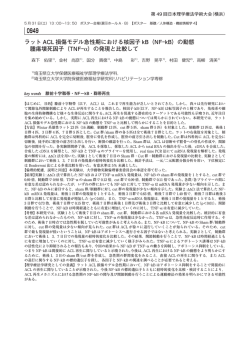 ラットACL損傷モデル急性期における核因子kB（NF