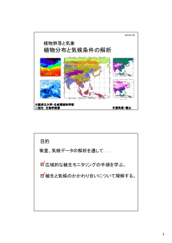 スライド - 大阪府立大学