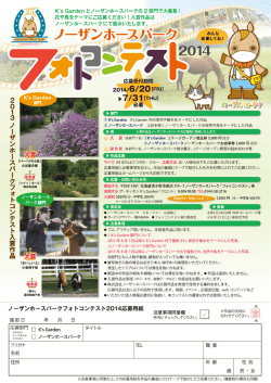フォトコンテストA4 ol